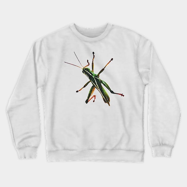 Green Grasshopper Climbing Watercolor Style Crewneck Sweatshirt by Griffelkinn